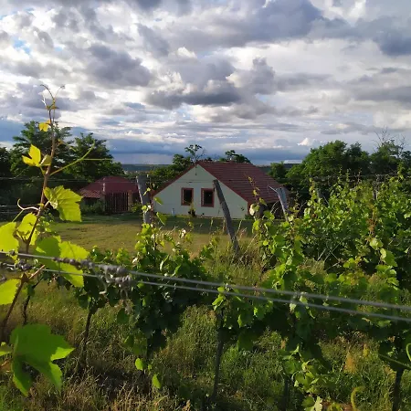 Katerinsky Sklipek Privatunterkunft Znojmo