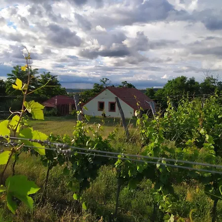Katerinsky Sklipek Pansiyon Znojmo