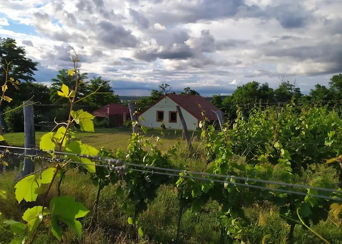 Katerinsky Sklipek Homestay Znojmo