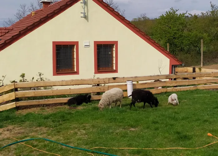 Katerinsky Sklipek Homestay szállás