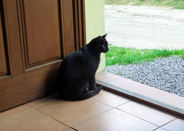 Katerinsky Sklipek Homestay szállás *